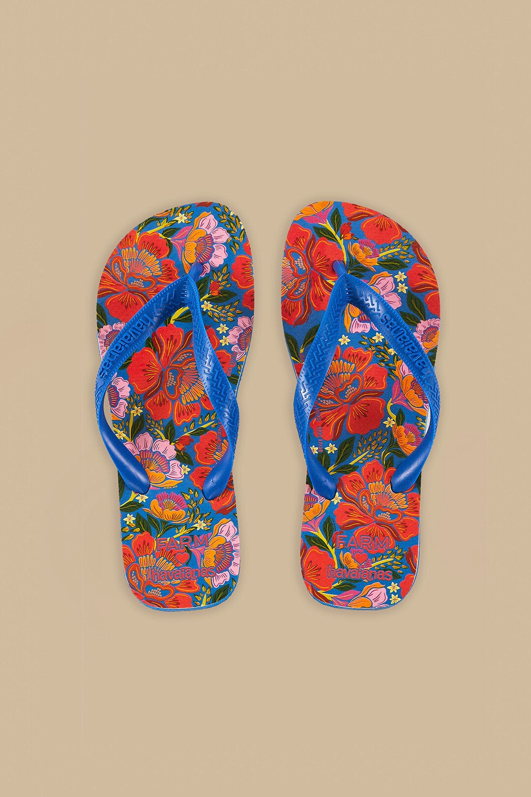 Blue Flowers Garden Havaiana Sandals